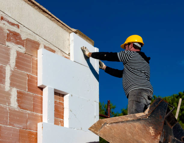 Best Cellulose Insulation in Corunna, MI