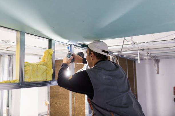 Best DIY Insulation Kits and Guidance in Corunna, MI