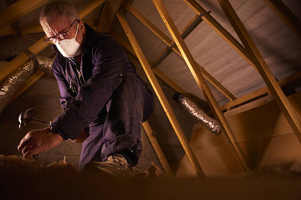 Best Specialized Insulation Services in Corunna, MI
